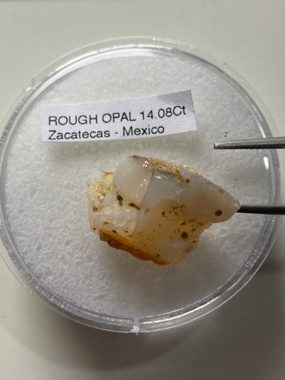 ROUGH OPAL : ZACATECAS, MEXICO           14.08Ct. MFG4961