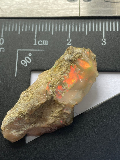 ROUGH UNTREATED NATURAL OPAL : ZACATECAS, MEXICO      14.08Ct.  MFG4962