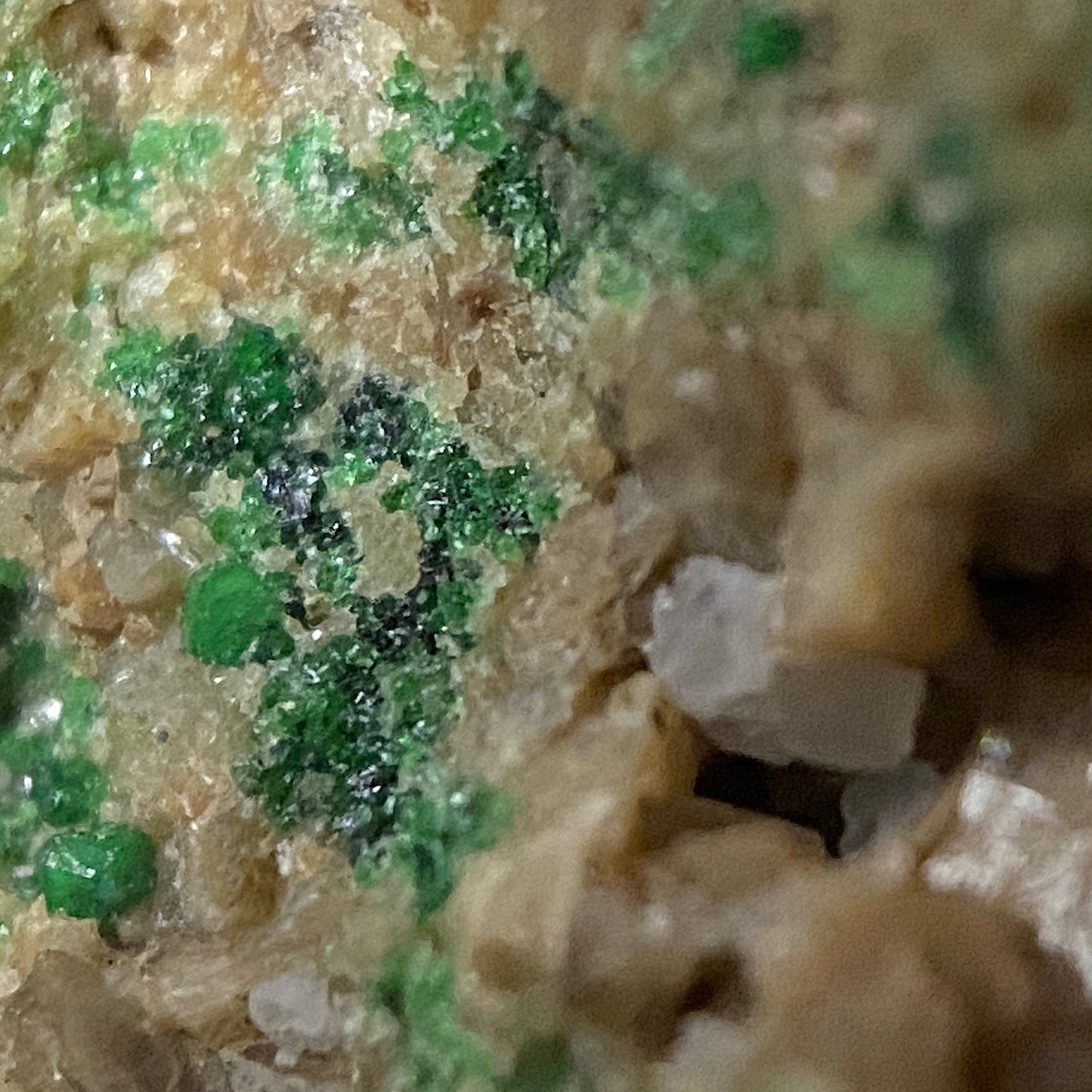 DIOPSIDE WITH GROSSULAR [GREEN] - ORFORD NICKEL MINE, QUEBEC, CANADA 90g MF1352