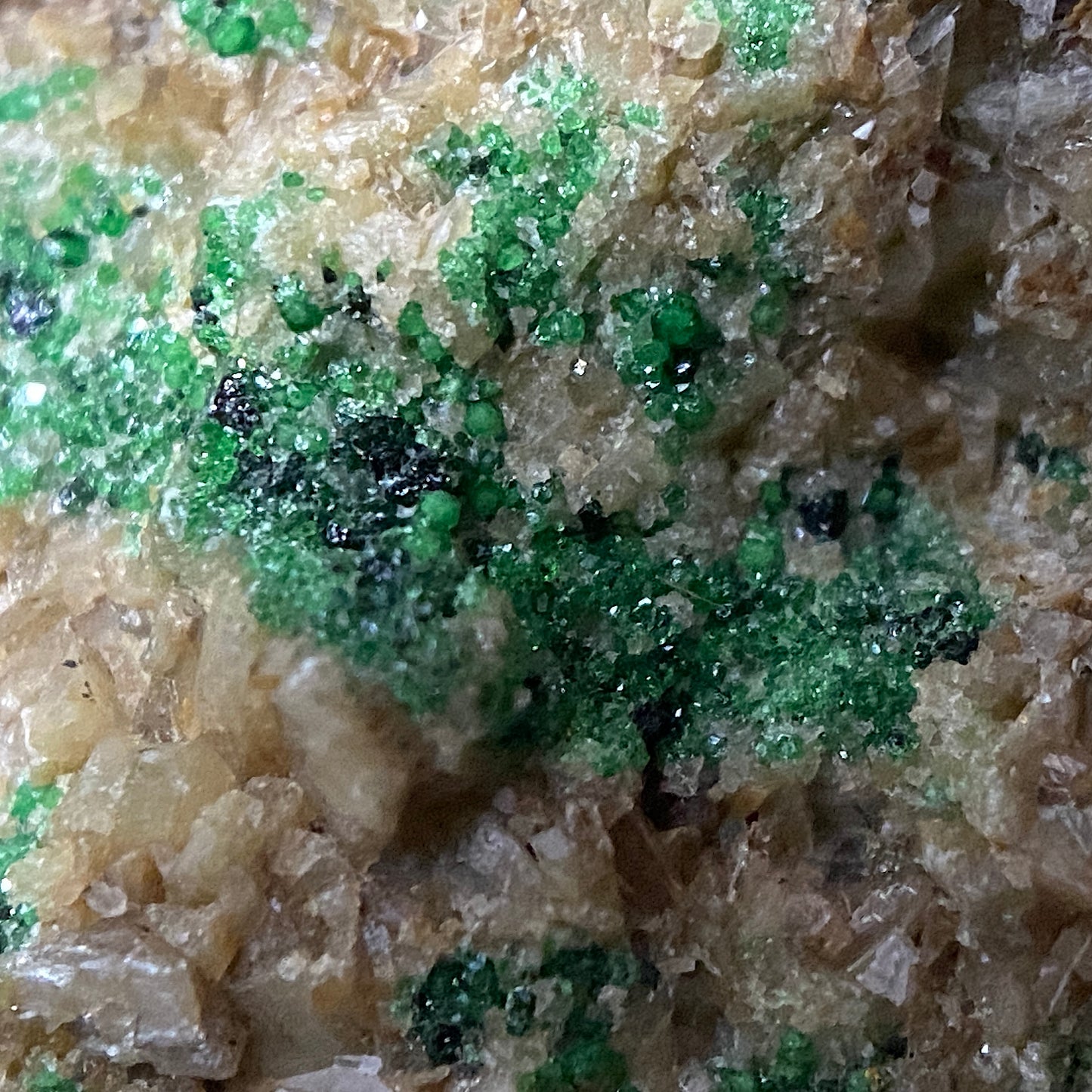 DIOPSIDE WITH GROSSULAR [GREEN] - ORFORD NICKEL MINE, QUEBEC, CANADA 90g MF1352