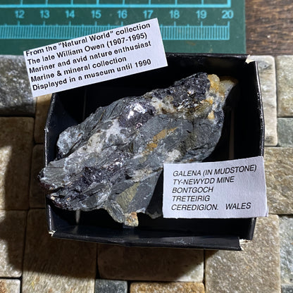GALENA [ETC] IN MUDSTONE - TY-NEWYDD LEAD MINE, BONT-GOCH, WALES, U.K. 65g MF13200