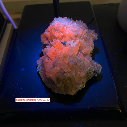 ÉCHANTILLON IMPRESSIONNANT DE CALCITE DE LA MINE DE CASAPALCA, PÉROU. 300g MF1311