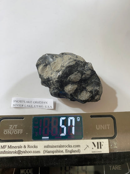 SNOWFLAKE OBSIDIAN : SEVIER LAKE, UTAH - U.S.A. 57g MF5022
