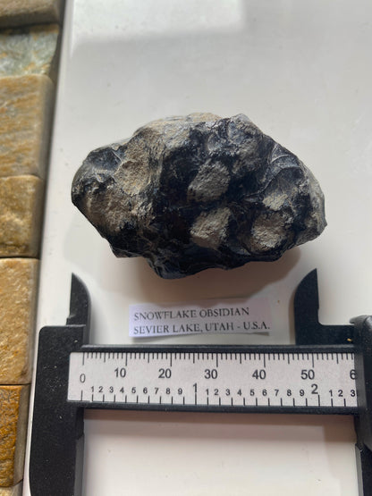 SNOWFLAKE OBSIDIAN : SEVIER LAKE, UTAH - U.S.A. 57g MF5022