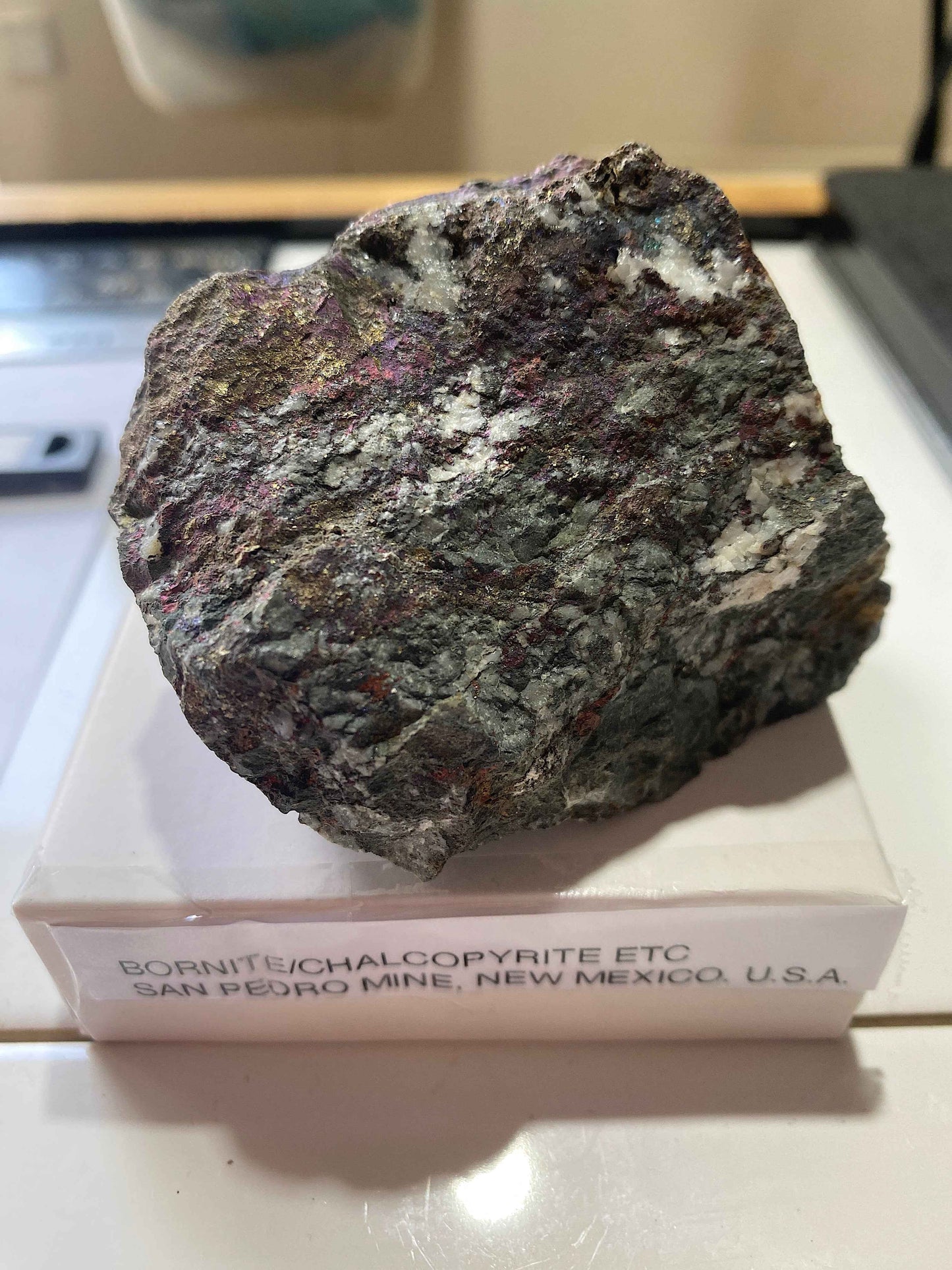 BORNITE/CHALCOPYRITE [ETC] : SAN PEDRO MINE, NEW MEXICO, U.S.A.  240g MF5027