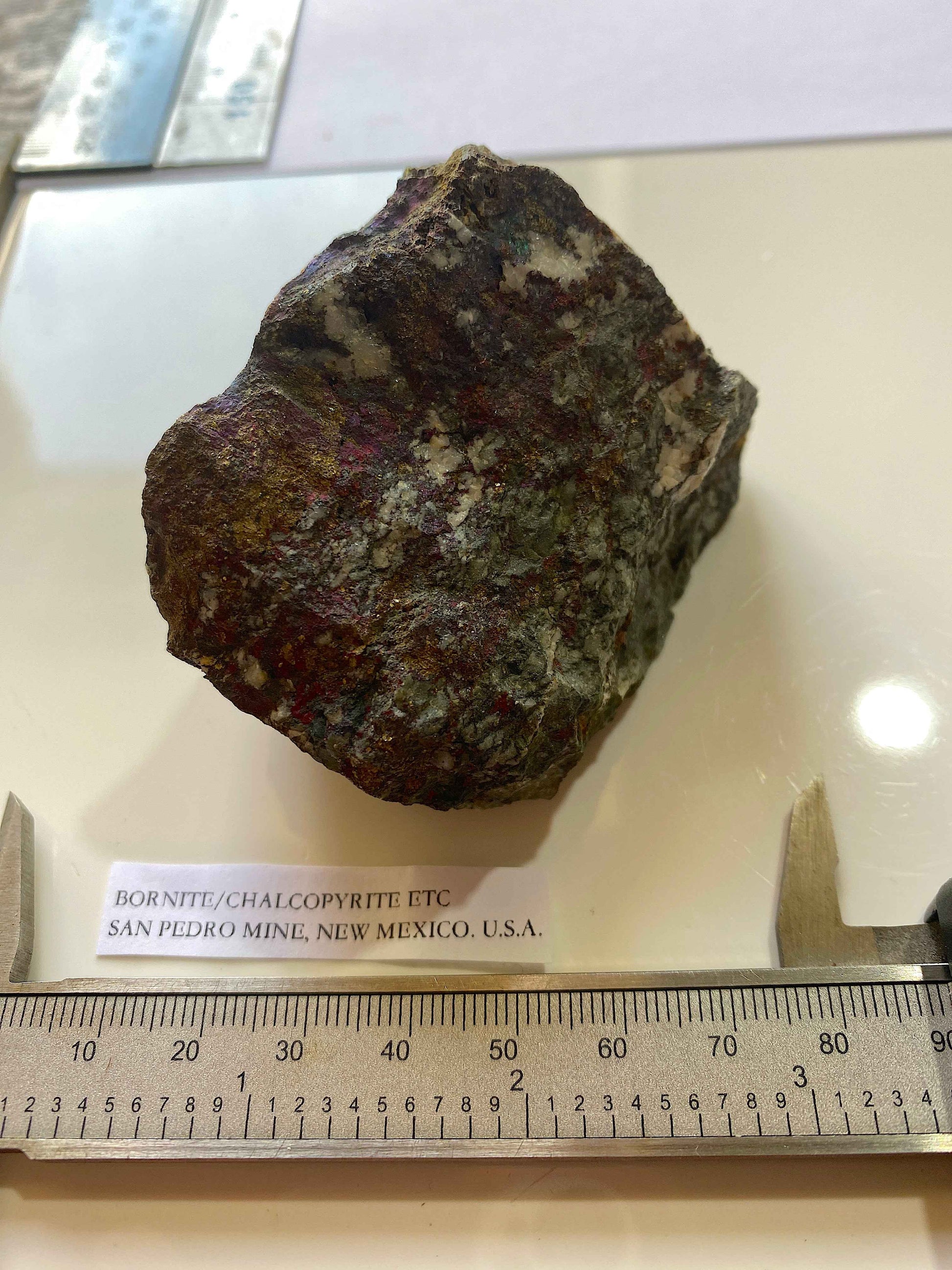 BORNITE/CHALCOPYRITE [ETC] : SAN PEDRO MINE, NEW MEXICO, U.S.A.  240g MF5027