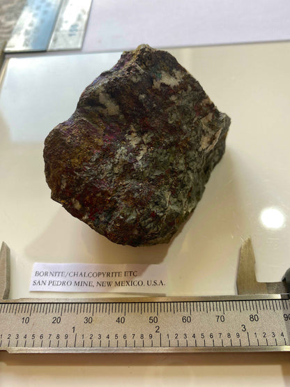 BORNITE/CHALCOPYRITE [ETC] : SAN PEDRO MINE, NEW MEXICO, U.S.A.  240g MF5027
