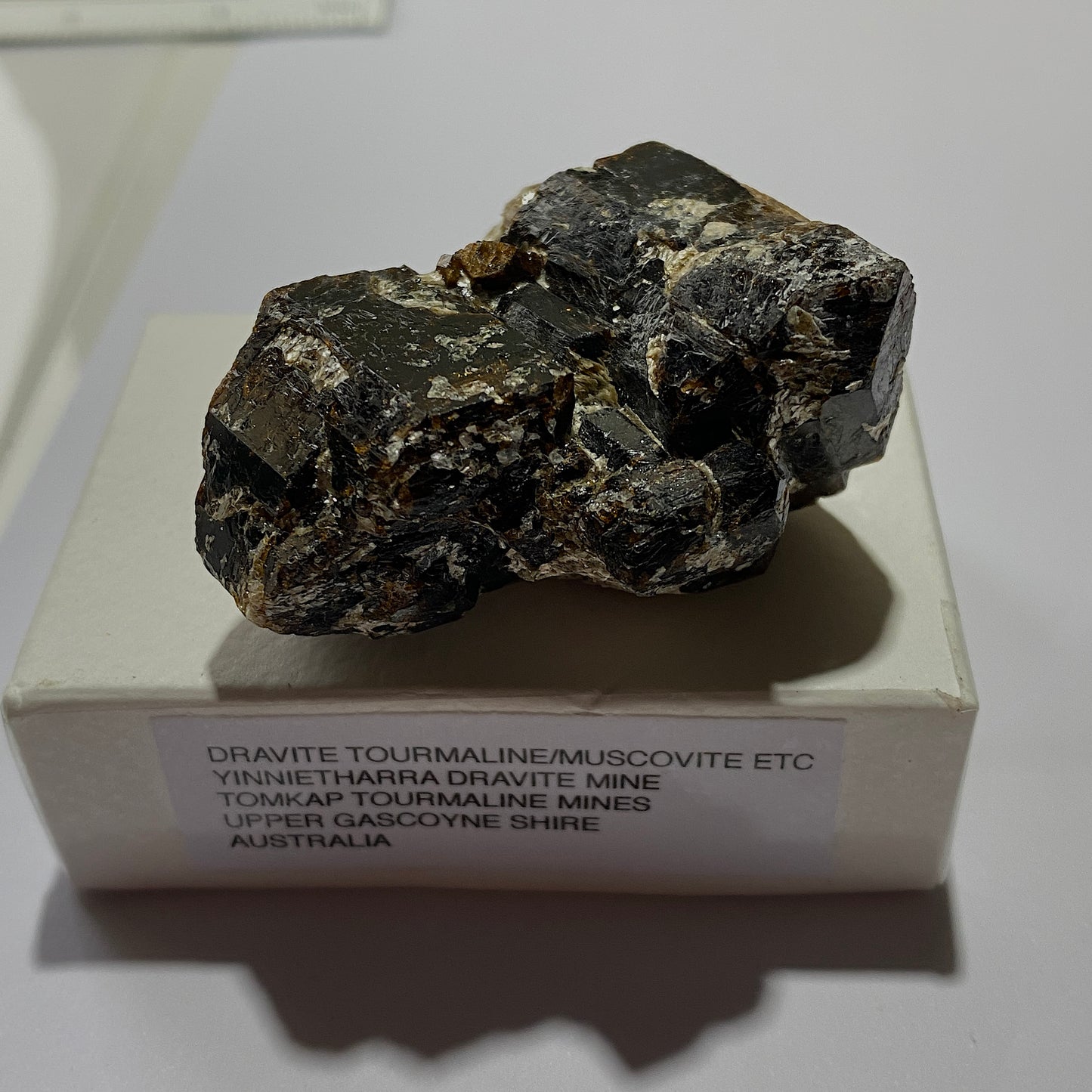 DRAVITE TOURMALINE [ETC] - YINNIETHARRA DRAVITE MINE, AUSTRALIA 87g MF1301