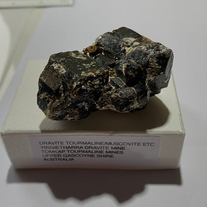 DRAVITE TOURMALINE [ETC] - YINNIETHARRA DRAVITE MINE, AUSTRALIA 87g MF1301