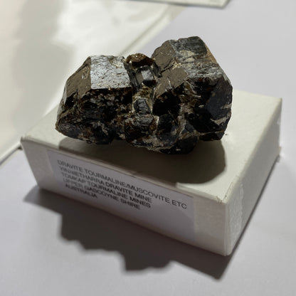 DRAVITE TOURMALINE [ETC] - YINNIETHARRA DRAVITE MINE, AUSTRALIA 87g MF1301