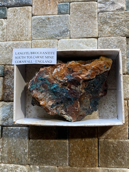 LANGITE/BROCHANTITE : SOUTH TOLCARNE MINE, BEACON, CORNWALL. 114g MF5028
