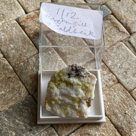 INTERESTING SPECIMEN FROM HIGHER ROUGHTON GILL, CUMBRIA. MF1811