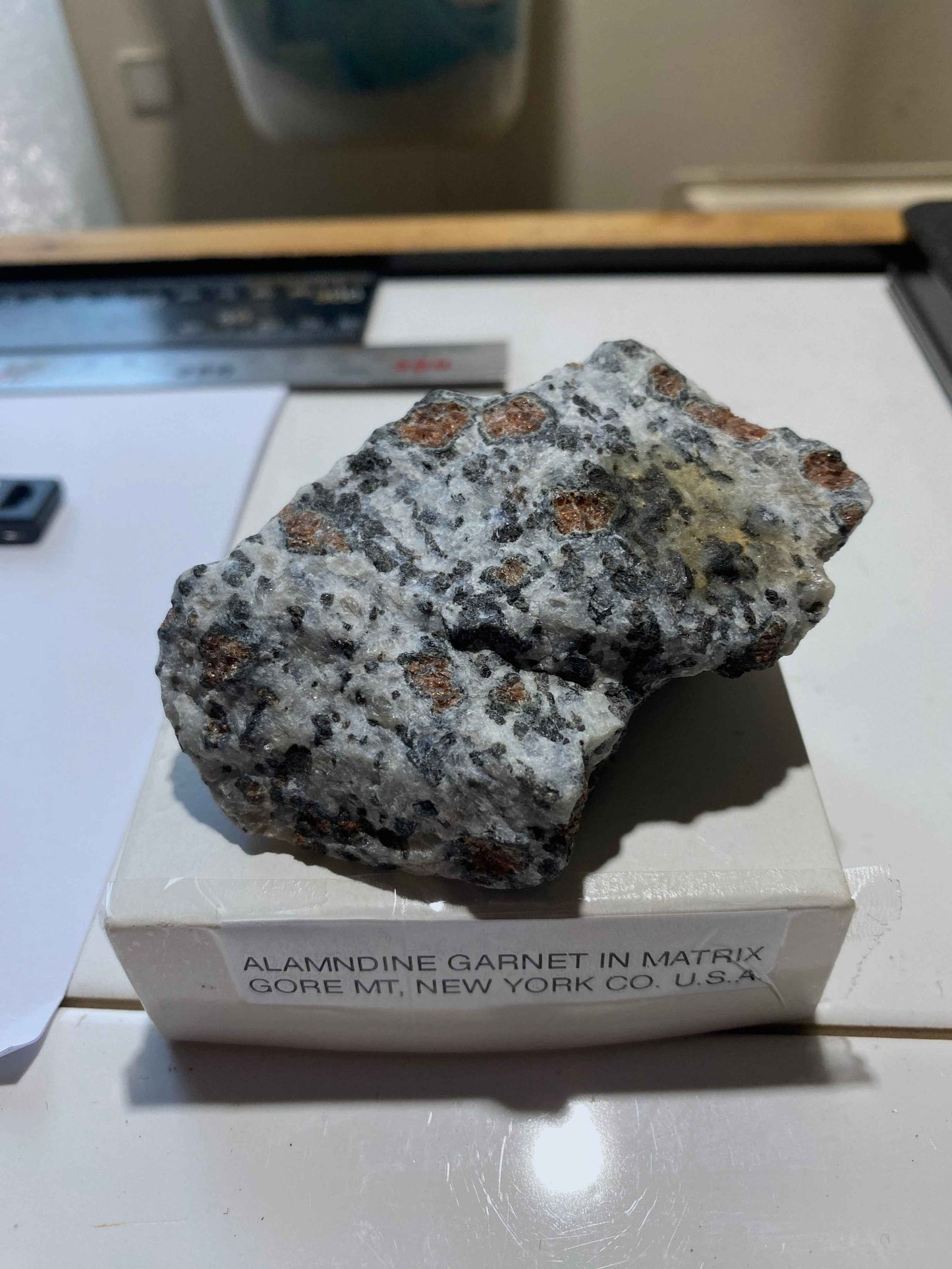 ALMANDINE GARNET IN MATRIX : GORE MOUNTAIN, THE ADIRONDACKS, NEW YORK COUNTY, U.S.A. 148g MF5030