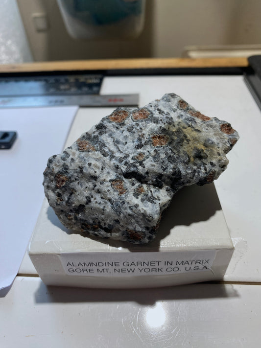 ALMANDINE GARNET IN MATRIX : GORE MOUNTAIN, THE ADIRONDACKS, NEW YORK COUNTY, U.S.A. 148g MF5030