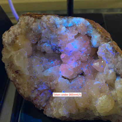 LIMESTONE VUG WITH CALCITE/QUARTZ, DULCOTE, SOMERSET HEAVY 990g MF1491