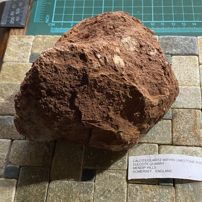 LIMESTONE VUG WITH CALCITE/QUARTZ, DULCOTE, SOMERSET HEAVY 990g MF1491