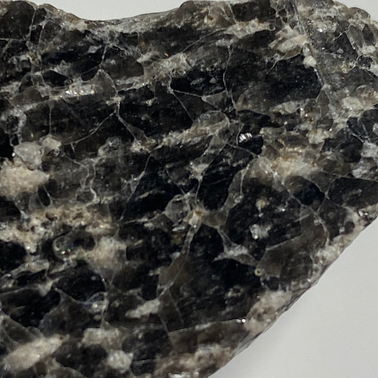 OBSIDIAN WITH PUMICE [RHYOLITE], TARAWERA MASSIF, NEW ZEALAND 16g MF1821