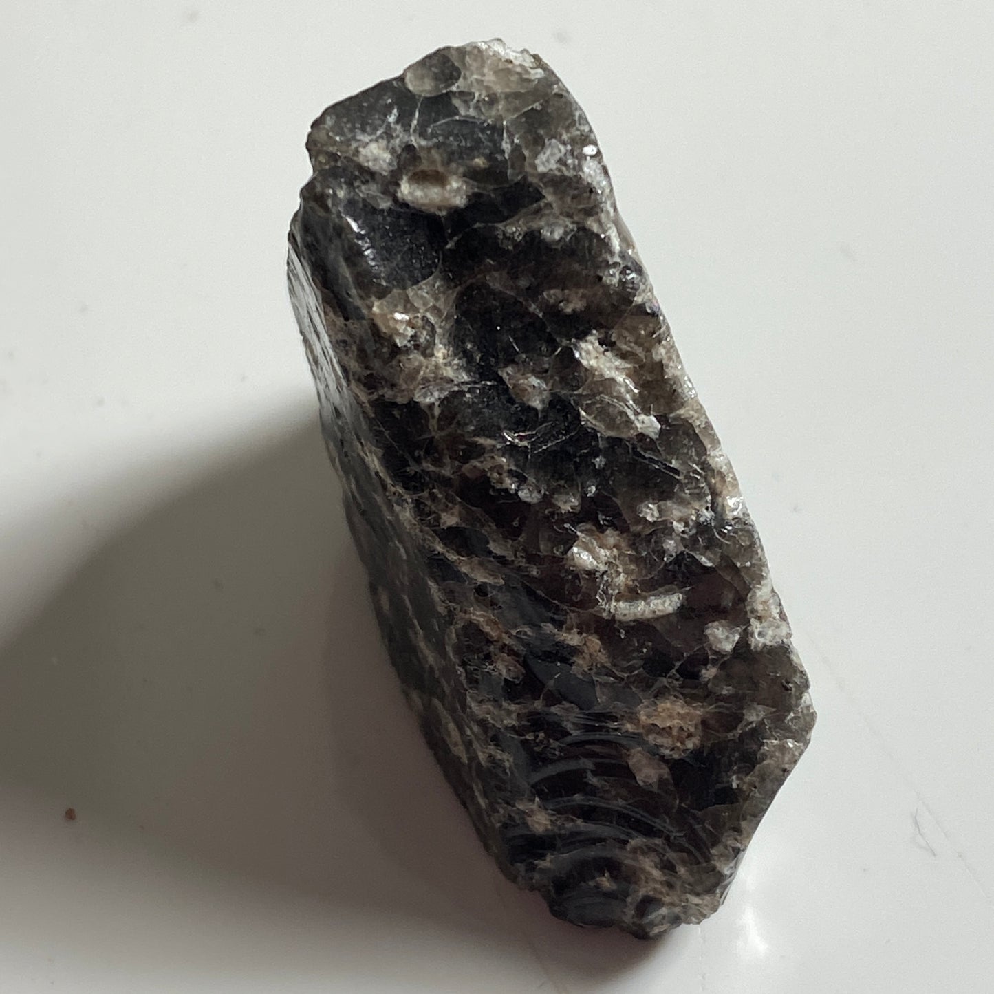 OBSIDIAN WITH PUMICE [RHYOLITE], TARAWERA MASSIF, NEW ZEALAND 16g MF1821