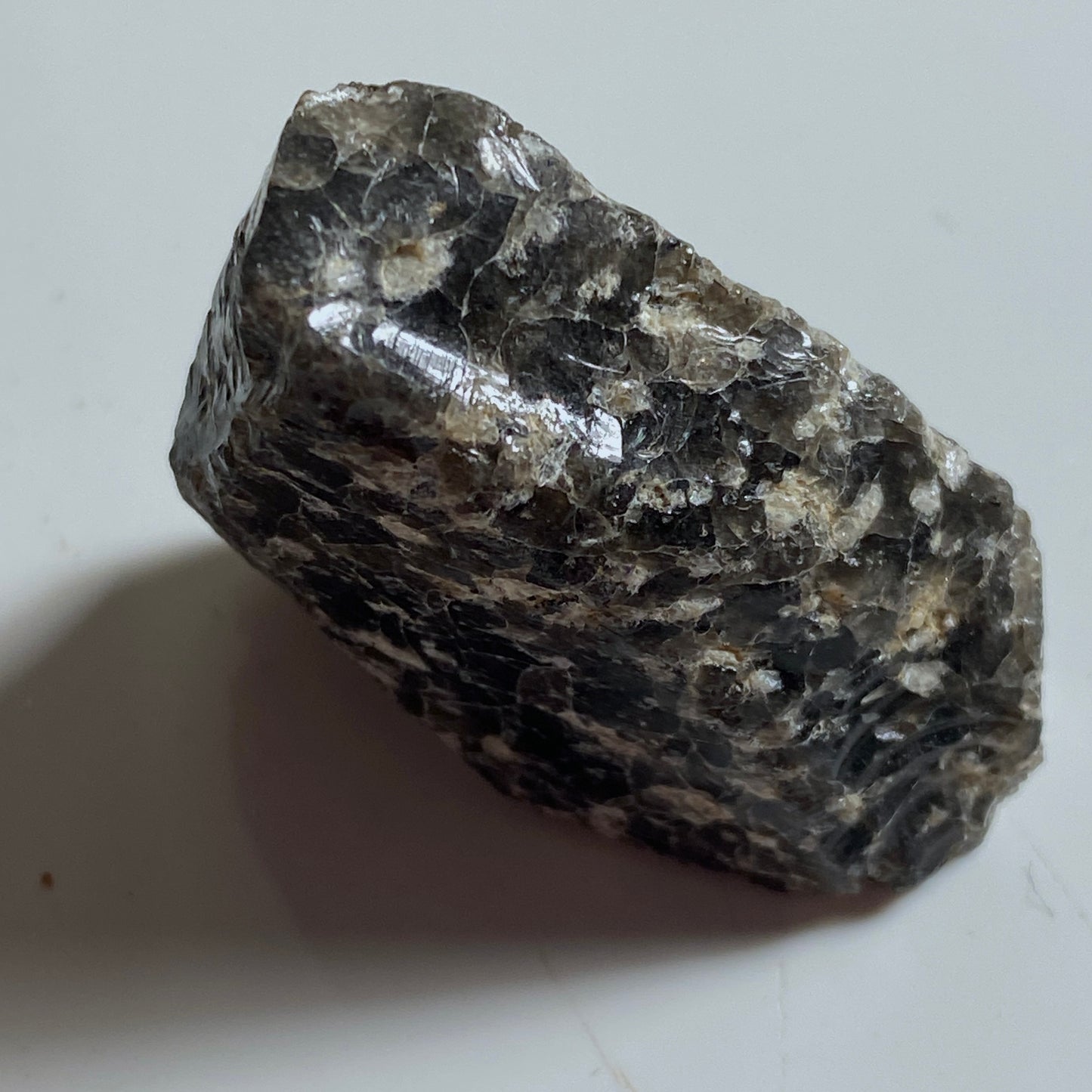 OBSIDIAN WITH PUMICE [RHYOLITE], TARAWERA MASSIF, NEW ZEALAND 16g MF1821