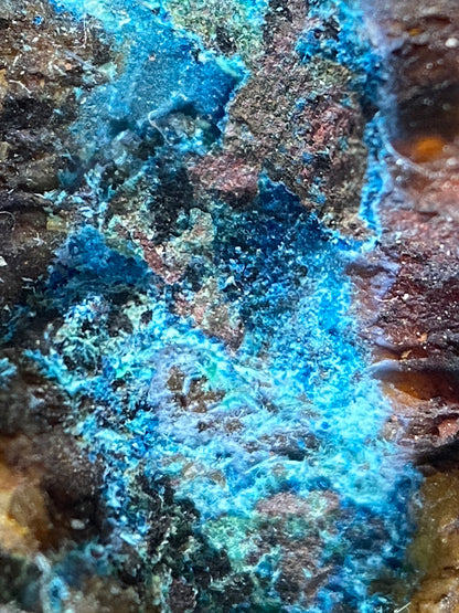 CONNELLITE : PENBERTHY CROFT MINE, ST HILARY, CORNWALL. 101g. MF5034