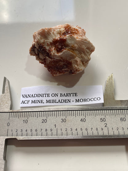 VANADINITE ON BARYTE : ACFMINE, MIBLADEN, MOROCCO. 36g MF5037