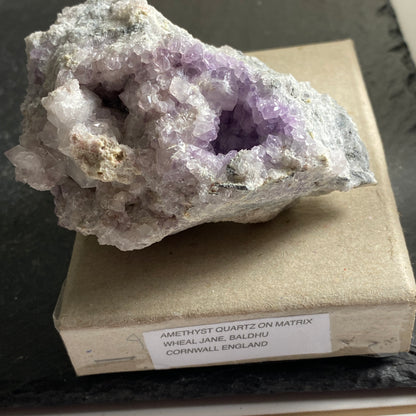 AMETHYST ON MATRIX , WHEAL JANE, BOLDHU, CORNWALL 230g MF1817