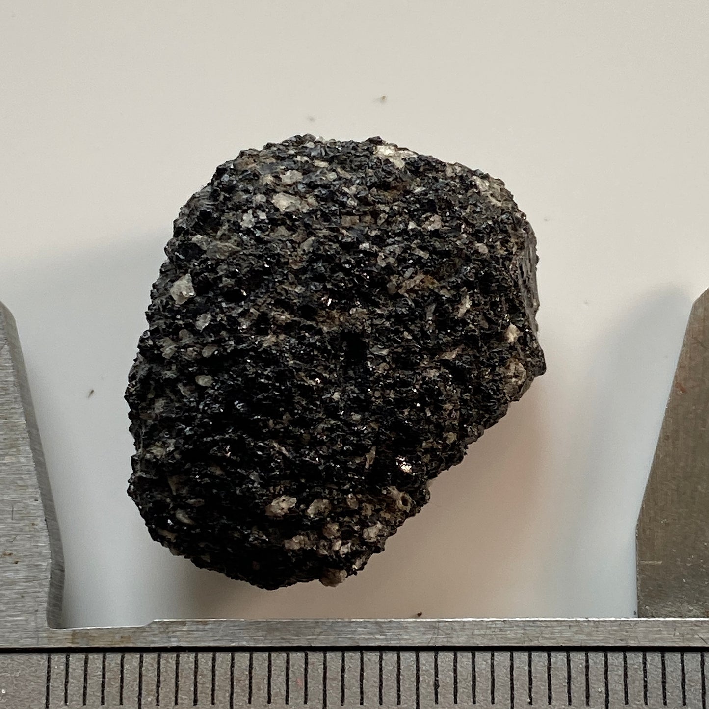 OBSIDIAN FRAGMENTS IN ANDESITE FROM KAREKARE, NEW ZEALAND 8gv MF1814