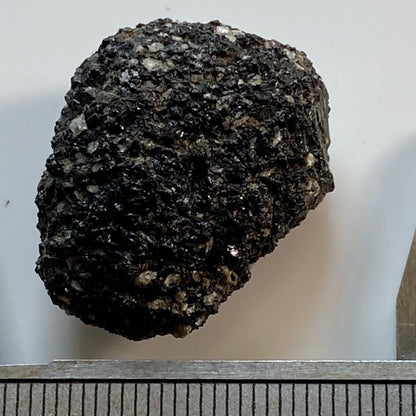 OBSIDIAN FRAGMENTS IN ANDESITE FROM KAREKARE, NEW ZEALAND 8gv MF1814