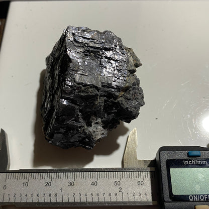 GALENA -  PATAGONIA MINING DISTRICT,SANTA CRUZ CO.,  ARIZONA U.S.A. 322g MF1482