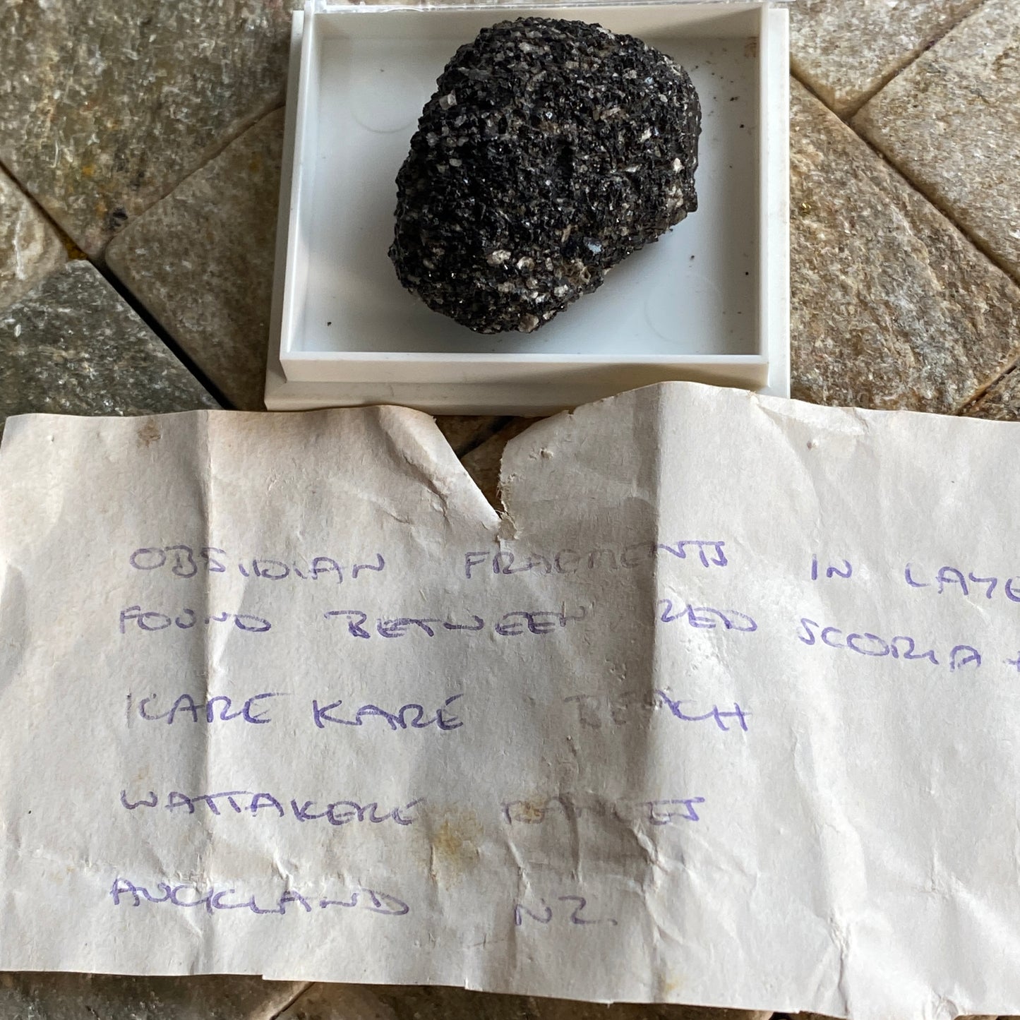 OBSIDIAN FRAGMENTS IN ANDESITE FROM KAREKARE, NEW ZEALAND 8gv MF1814