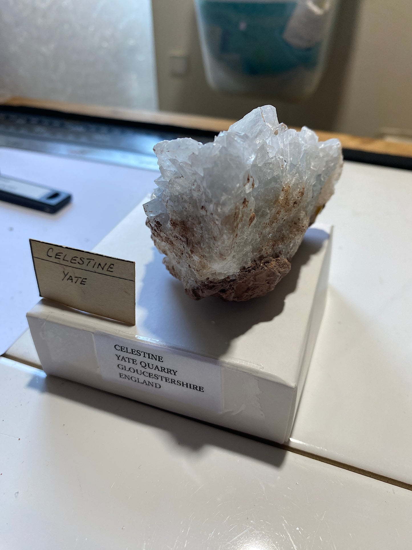 CELESTINE : YATE QUARRY, GLOUCESTERSHIRE, ENGLAND. 242g  MF5045