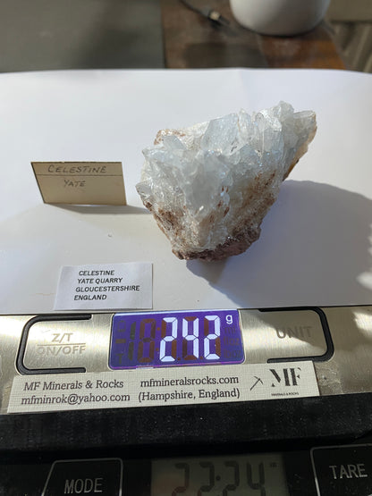 CELESTINE : YATE QUARRY, GLOUCESTERSHIRE, ENGLAND. 242g  MF5045