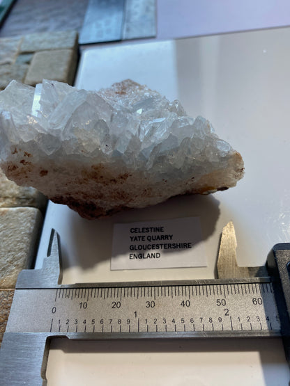 CELESTINE : YATE QUARRY, GLOUCESTERSHIRE, ENGLAND. 242g  MF5045