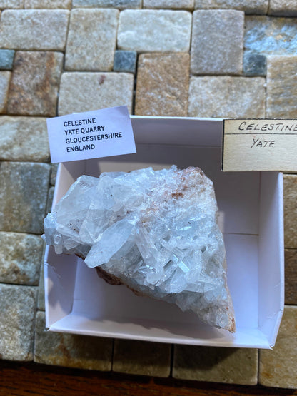 CELESTINE : YATE QUARRY, GLOUCESTERSHIRE, ENGLAND. 242g  MF5045