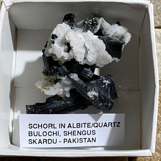 SCHORL TOURMALINE EXQUISITE SPECIMEN - BULOCI, SHENGUS, PAKISTAN 20g MF1408
