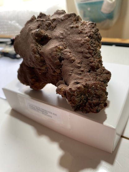 FASCINATING SPECIMEN FROM WHEAL PENDARVES, KILLIVOSE, CORNWALL  767g MF5046