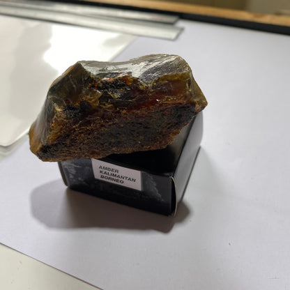 NATURAL AMBER - KALIMANTAN, BORNEO [INDONESIA SECTOR]  44g MF4479