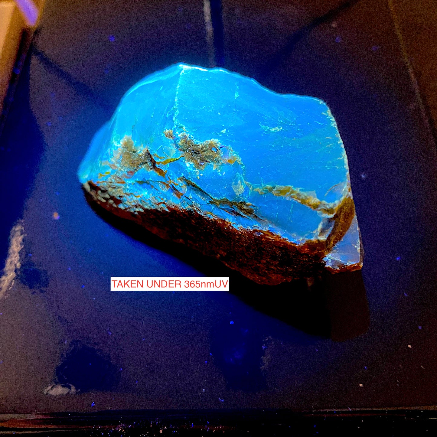 NATURAL AMBER - KALIMANTAN, BORNEO [INDONESIA SECTOR]  44g MF4479