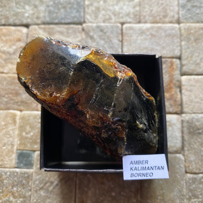 NATURAL AMBER - KALIMANTAN, BORNEO [INDONESIA SECTOR]  44g MF4479