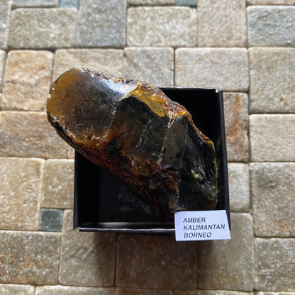 NATURAL AMBER - KALIMANTAN, BORNEO [INDONESIA SECTOR]  44g MF4479
