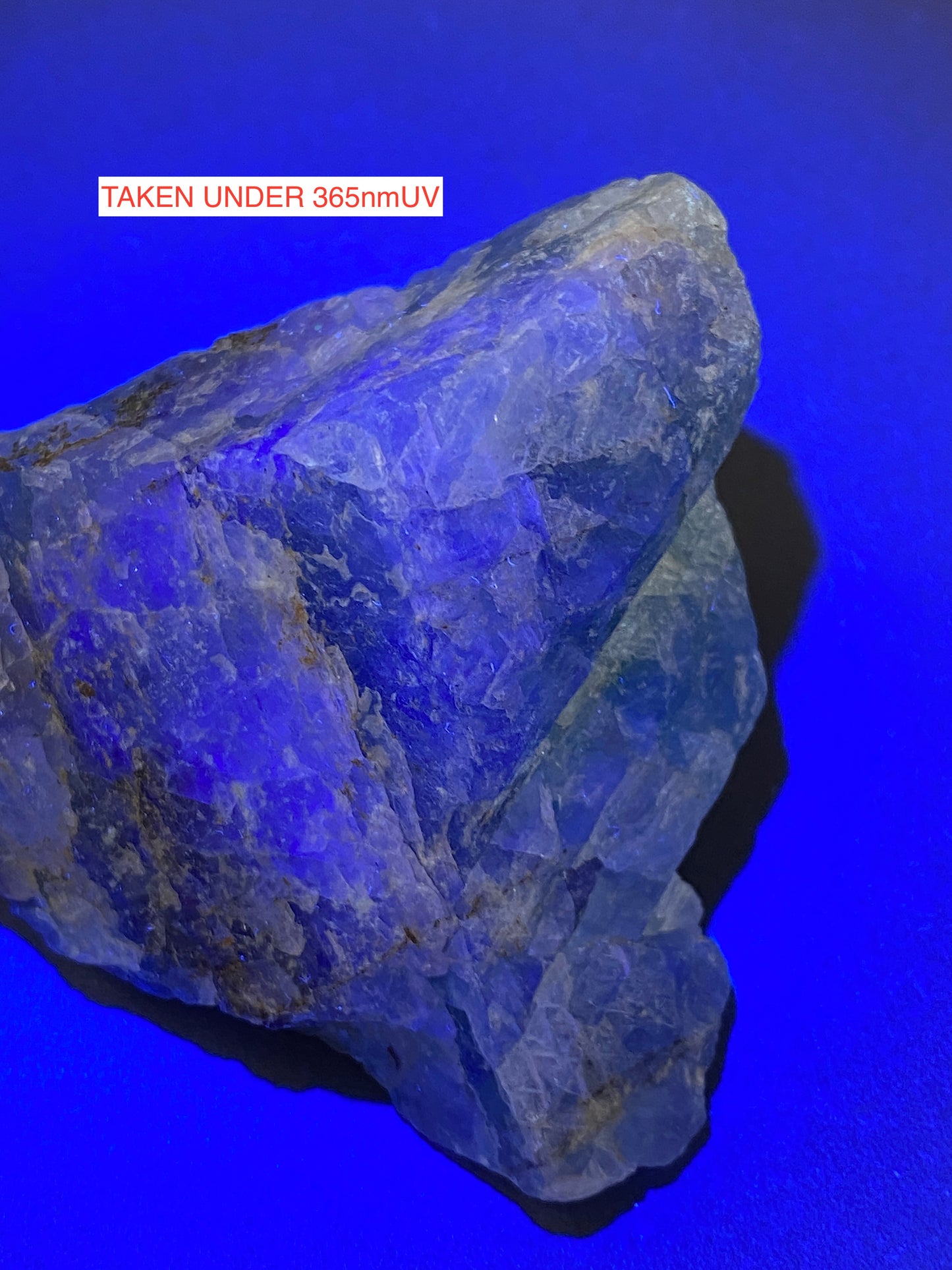 FLUORITE : SOUTH TOLCARNE MINE, CAMBORNE, CORNWALL. 134g. MF5053