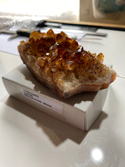 CITRINE QUARTZ CRYSTAL ASSEMBLAGE : CHARCOS, SAN LUIS POTOSI, MEXICO 296g MF5058