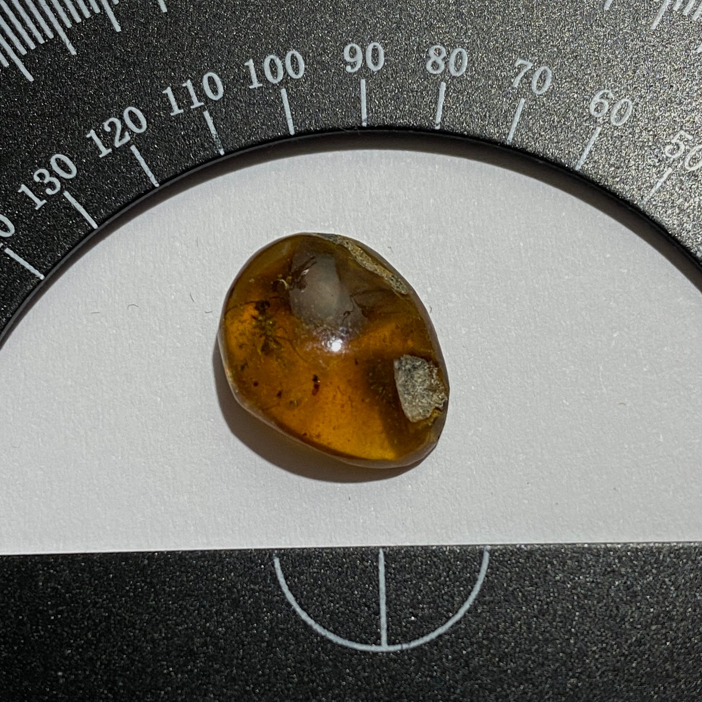 AMBER NATURAL GEMSTONE - KLAIPEDA, LITHUANIA.  1.50Ct MFG5095