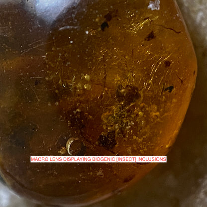 AMBER NATURAL GEMSTONE - KLAIPEDA, LITHUANIA.  1.50Ct MFG5095