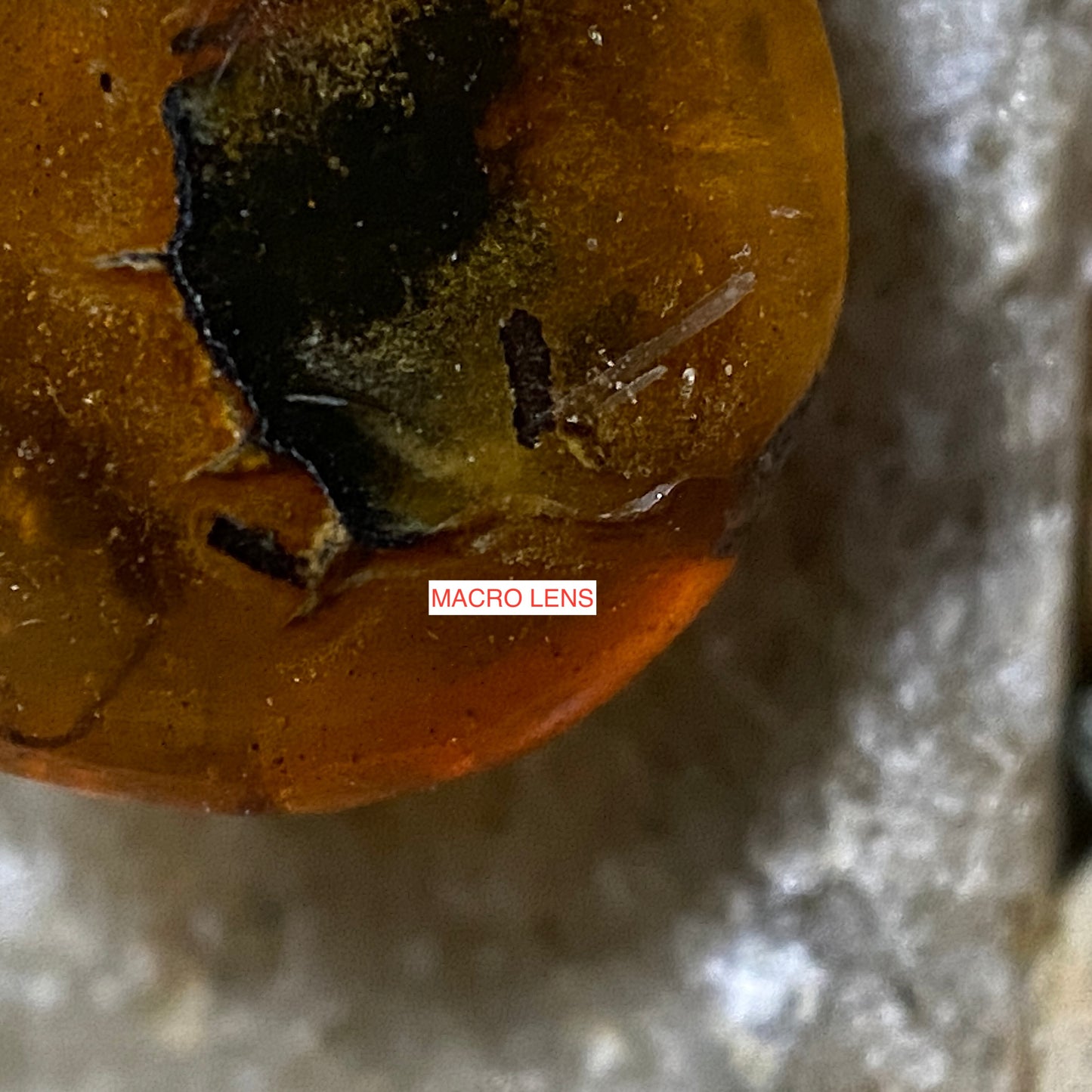 AMBER NATURAL GEMSTONE - KLAIPEDA, LITHUANIA.  1.50Ct MFG5095