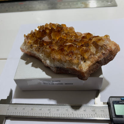 CITRINE QUARTZ CRYSTAL ASSEMBLAGE - CHARCOS, MEXICO  299g MF4139