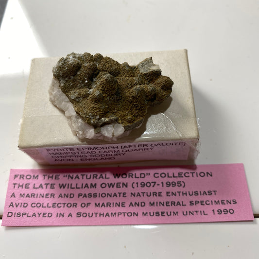ÉPIMORPHE DE PYRITE APRÈS LA CALCITE DE CHIPPING SODBURY, ANGLETERRE 16g. MF6364