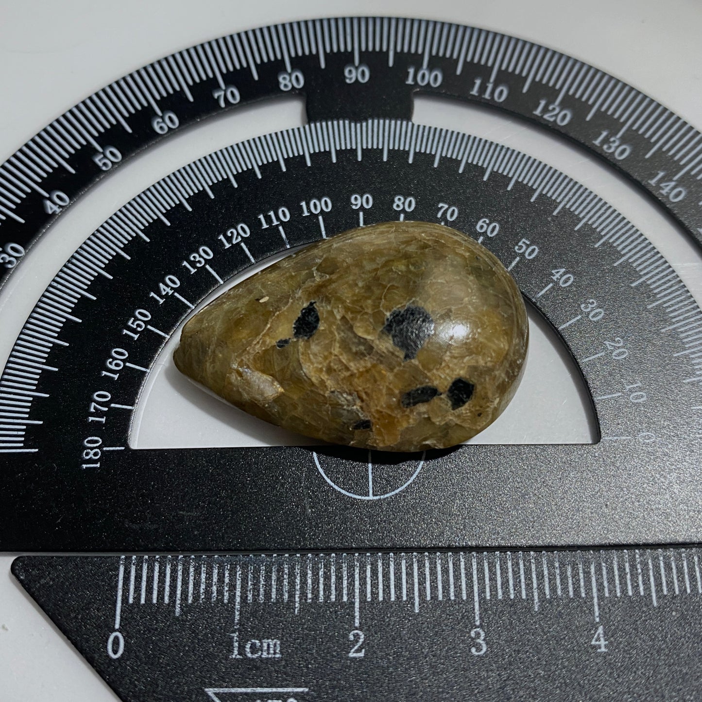 SILICIFIED CORAL GEMSTONE - ISEL OF GOTLAND, SWEDEN. 50Ct. MFG5164