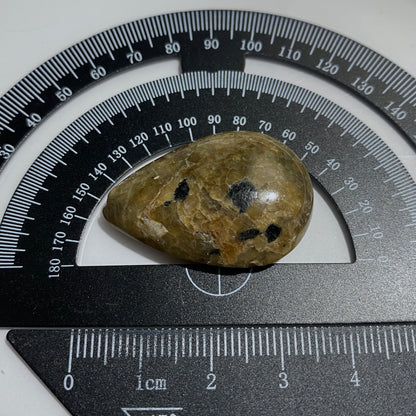 SILICIFIED CORAL GEMSTONE - ISEL OF GOTLAND, SWEDEN. 50Ct. MFG5164