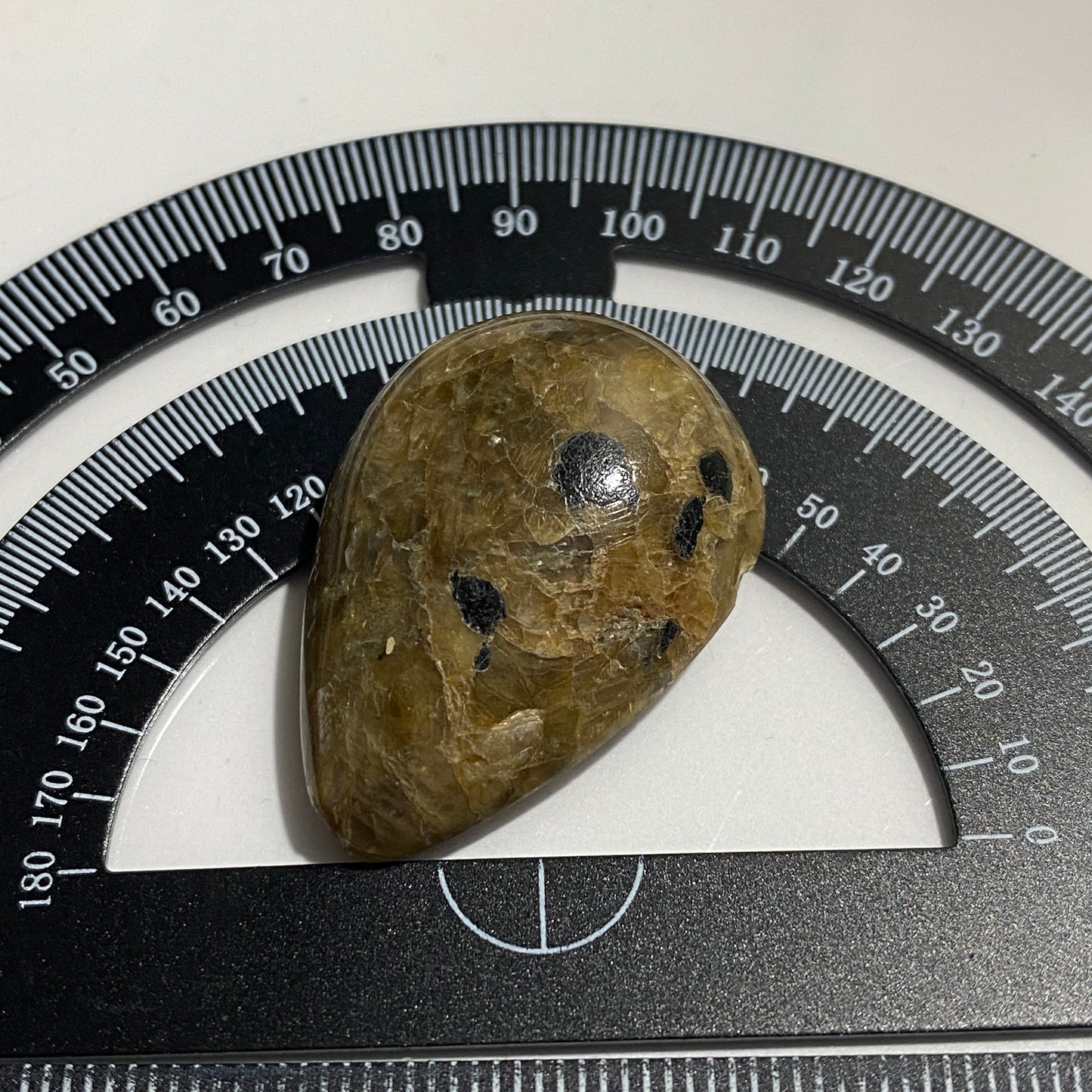 SILICIFIED CORAL GEMSTONE - ISEL OF GOTLAND, SWEDEN. 50Ct. MFG5164